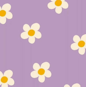 Meet your Posher, Lucy